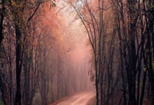 包含拉齐奥国际比赛日扳平良机，志在中超名次提升，震撼外界，训练强度明显提升的词条